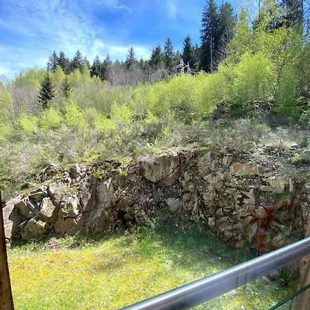 Le Balcon Des Roches 5 Personnes Gérardmer