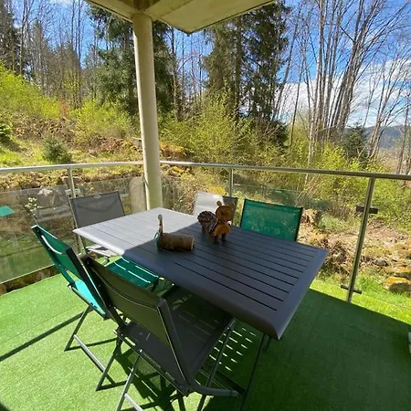 Apartment Le Balcon Des Roches 5 Personnes Gérardmer